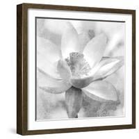 Lotus-Kimberly Allen-Framed Art Print