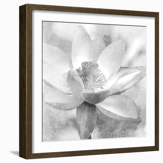 Lotus-Kimberly Allen-Framed Art Print