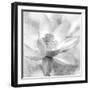 Lotus-Kimberly Allen-Framed Art Print