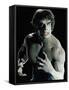 Lou Ferrigno, Incredible Hulk, The-Tv, 1978-null-Framed Stretched Canvas