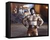 Lou Ferrigno-null-Framed Stretched Canvas