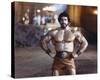 Lou Ferrigno-null-Stretched Canvas