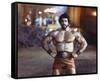 Lou Ferrigno-null-Framed Stretched Canvas