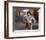 Lou Ferrigno-null-Framed Photo