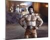 Lou Ferrigno-null-Mounted Photo