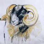 Long Horn Sheep-Lou Gibbs-Giclee Print