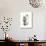 Lou Groza-Allen Friedlander-Premium Giclee Print displayed on a wall