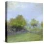 Stretched Canvas