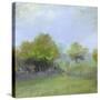Stretched Canvas