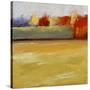 Stretched Canvas
