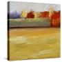 Stretched Canvas