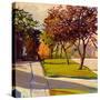Stretched Canvas