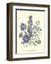 Loudon Florals II-Jane W^ Loudon-Framed Art Print