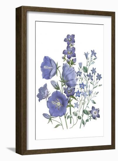 Loudon Florals II-Jane W. Loudon-Framed Art Print