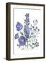 Loudon Florals II-Jane W. Loudon-Framed Art Print