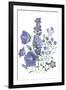 Loudon Florals II-Jane W. Loudon-Framed Art Print