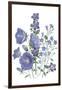 Loudon Florals II-Jane W. Loudon-Framed Art Print