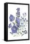 Loudon Florals II-Jane W. Loudon-Framed Stretched Canvas