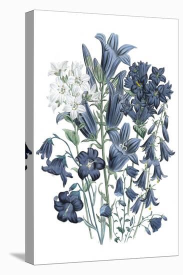 Loudon Florals III-Jane W. Loudon-Stretched Canvas