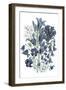 Loudon Florals III-Jane W. Loudon-Framed Art Print