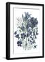 Loudon Florals III-Jane W. Loudon-Framed Art Print