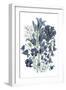 Loudon Florals III-Jane W. Loudon-Framed Art Print