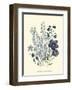 Loudon Florals IV-Jane W^ Loudon-Framed Art Print