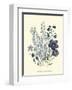 Loudon Florals IV-Jane W^ Loudon-Framed Art Print