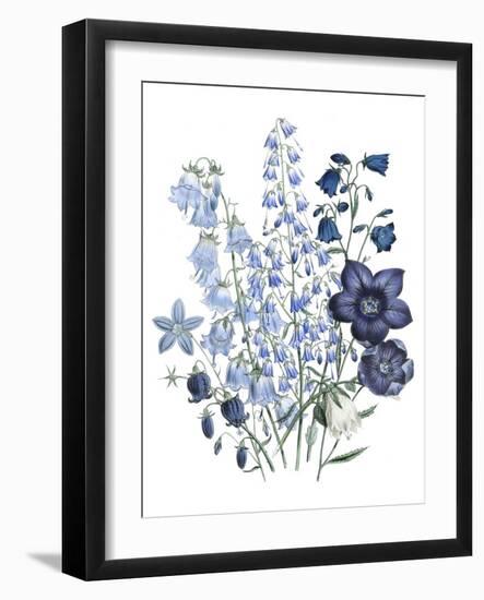 Loudon Florals IV-Jane W. Loudon-Framed Art Print