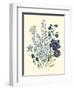 Loudon Florals IV-Jane Loudon-Framed Art Print