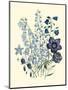 Loudon Florals IV-Jane Loudon-Mounted Art Print