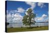 Lough Ennel from the Gardens of Belvedere House ,Mullingar County, Westmeath, Ireland-null-Stretched Canvas