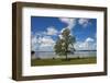 Lough Ennel from the Gardens of Belvedere House ,Mullingar County, Westmeath, Ireland-null-Framed Photographic Print
