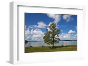 Lough Ennel from the Gardens of Belvedere House ,Mullingar County, Westmeath, Ireland-null-Framed Photographic Print