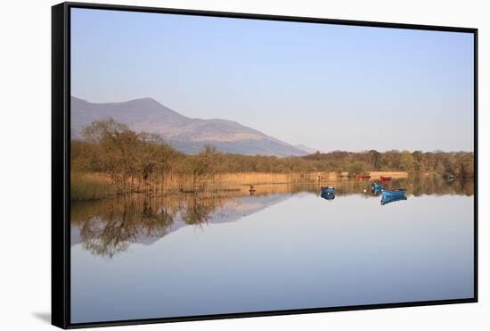 Lough Leane, Ross Bay, Killarney National Park, County Kerry, Munster, Republic of Ireland, Europe-Carsten Krieger-Framed Stretched Canvas