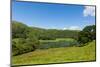 Loughrigg Tarn Lake District Cumbria England Situated North of Windermere and Skelwith Bridge-acceleratorhams-Mounted Photographic Print