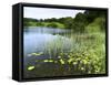 Loughrigg Tarn, Lake District National Park, Cumbria, England, United Kingdom, Europe-Jeremy Lightfoot-Framed Stretched Canvas