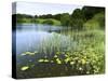 Loughrigg Tarn, Lake District National Park, Cumbria, England, United Kingdom, Europe-Jeremy Lightfoot-Stretched Canvas