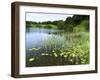 Loughrigg Tarn, Lake District National Park, Cumbria, England, United Kingdom, Europe-Jeremy Lightfoot-Framed Photographic Print