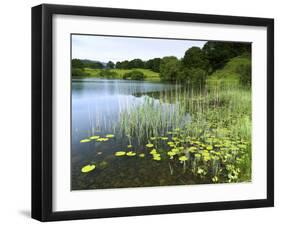 Loughrigg Tarn, Lake District National Park, Cumbria, England, United Kingdom, Europe-Jeremy Lightfoot-Framed Photographic Print