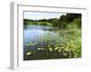 Loughrigg Tarn, Lake District National Park, Cumbria, England, United Kingdom, Europe-Jeremy Lightfoot-Framed Photographic Print