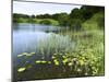 Loughrigg Tarn, Lake District National Park, Cumbria, England, United Kingdom, Europe-Jeremy Lightfoot-Mounted Photographic Print