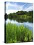 Loughrigg Tarn, Lake District National Park, Cumbria, England, United Kingdom, Europe-Jeremy Lightfoot-Stretched Canvas