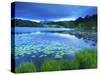 Loughrigg Tarn, Lake District National Park, Cumbria, England, United Kingdom, Europe-Jeremy Lightfoot-Stretched Canvas