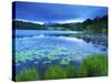 Loughrigg Tarn, Lake District National Park, Cumbria, England, United Kingdom, Europe-Jeremy Lightfoot-Stretched Canvas