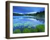 Loughrigg Tarn, Lake District National Park, Cumbria, England, United Kingdom, Europe-Jeremy Lightfoot-Framed Photographic Print