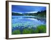 Loughrigg Tarn, Lake District National Park, Cumbria, England, United Kingdom, Europe-Jeremy Lightfoot-Framed Photographic Print