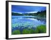 Loughrigg Tarn, Lake District National Park, Cumbria, England, United Kingdom, Europe-Jeremy Lightfoot-Framed Photographic Print