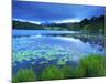 Loughrigg Tarn, Lake District National Park, Cumbria, England, United Kingdom, Europe-Jeremy Lightfoot-Mounted Photographic Print