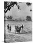 Louie Elias and Family, Riding in Their Pony Cart-Michael Rougier-Stretched Canvas